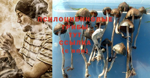 эйфоретик Абдулино