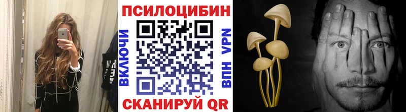 Галлюциногенные грибы Cubensis  кракен ТОР  Ильский 